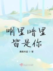 明里暗里皆是你歌词