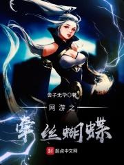 网游之蝶舞天下