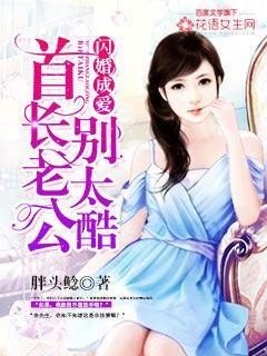 闪爱成婚首长老公别太酷读
