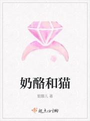 奶酪与奶的区别
