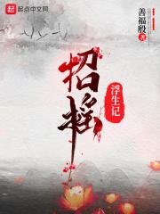 招摇电视剧原著