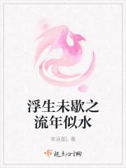 浮生未歇似流年什么意思
