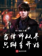 从律师开始的