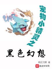 神奇宝贝之黑色幻想