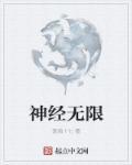 无限神经txt番外