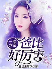陶宝司冥寒的