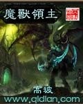 魔兽领主作者高坡