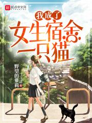 我成女宿舍的一只猫