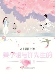 许小姐与宋先生第三十七