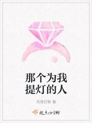 那个为我提灯的人是什么意思