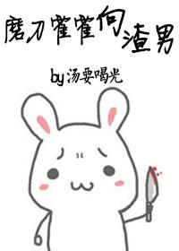 农门弃妇傻子宠妻无度