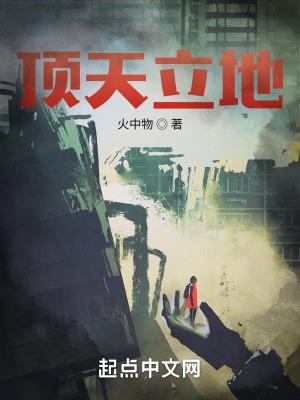 顶天立地架