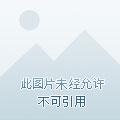 重生养娃曰常