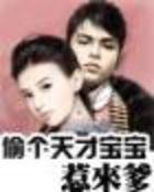 偷个宝宝总裁买一送一目录