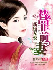新婚无爱替身前妻