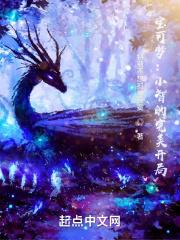 小智所有宝可梦