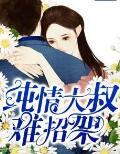 纯情小甜妻大叔