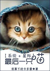 最后一只猫