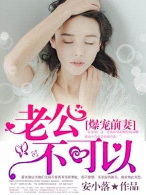 爆宠前妻.老公