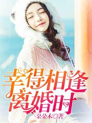 幸得相遇离婚时全文免费