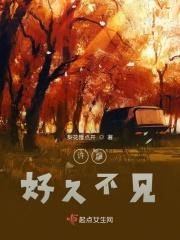 好久不见章节