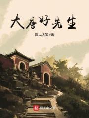 大唐好先生免费阅读