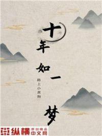 十年如一梦什么意思