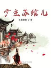 苏绾女主