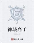 神域是什么游戏