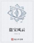 盗宝兄弟vip