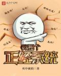 我是个正经总裁晋江