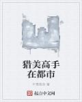 无敌猎美高手