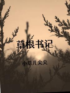 草根书记李天骥是哪部