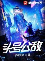 头号公敌2电影在线观看