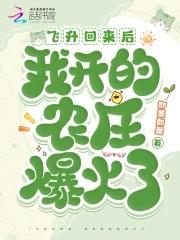飞升回来后为