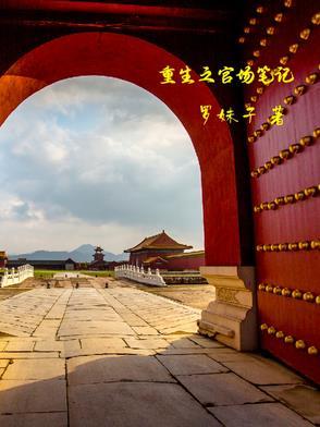 重生之官场风流最新章节列表