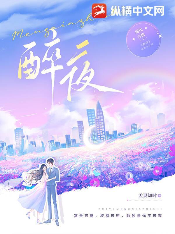 醉夜无间电视剧
