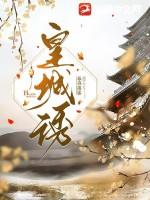 皇城诱讲的什么故事