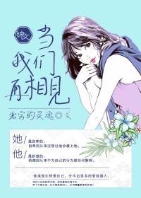 当我们再相见中文演唱