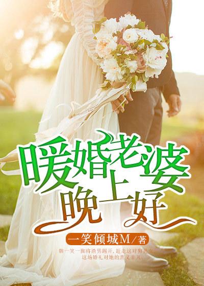 老婆晚上好的句子
