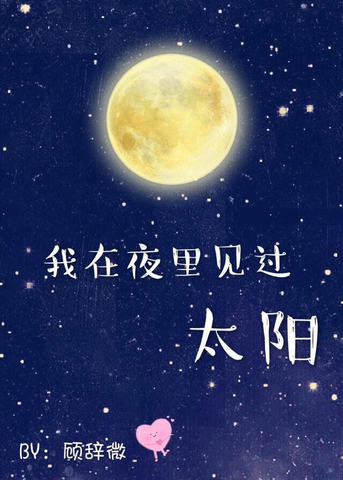我在夜里见过太阳全文免费阅读