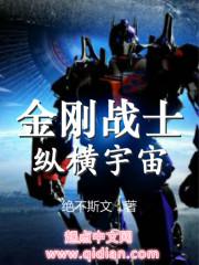 金刚战士游戏