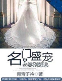 名门宠妻老婆太迷人