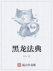 黑龙法典TXT电子书