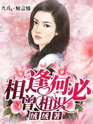 相逢何必曾相识什么意思