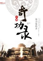 江湖奇功录九大奇功