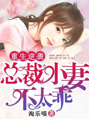 重生总裁小媳妇