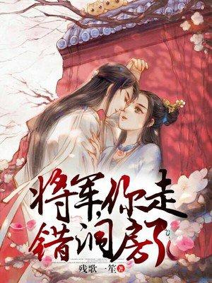 将军你走错洞房了h