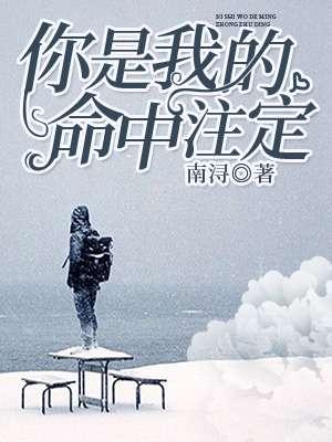 你是我的命中注定电视剧免费全集在线观看