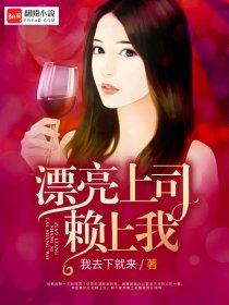 漂亮上司赖上我电子书